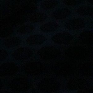 Meet your Posher, Larry